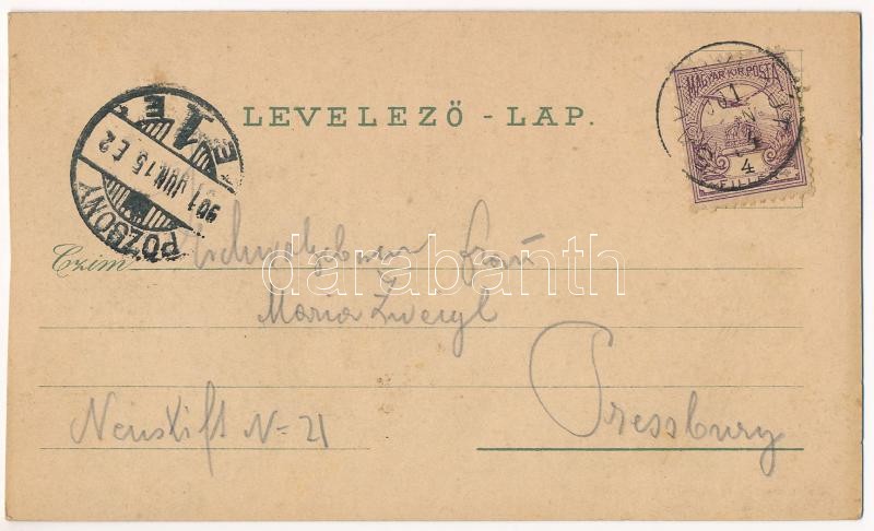 1901 Savanyúkút, Bad Sauerbrunn bei Wiener Neustadt; Kút, Savanyúkút, Fürdőház. Schwidernoch Károly műintézete / spa, bath. Art Nouveau, floral, litho (vágott / cut) - Image 2