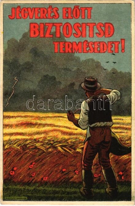 Jégverés előtt biztosítsd a termésedet! Magyar mezőgazdasági propagandalap. Bruchsteiner és fia. Ez a levelezőlap öt írott szóval bélyeg nélkül elküldhető / Hungarian agricultural propaganda card against hailstorms