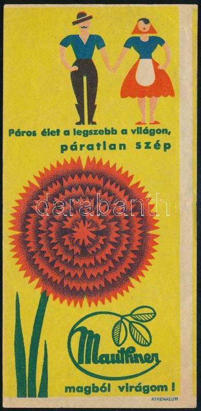 Mauthner 'magból virágom' számolócédula