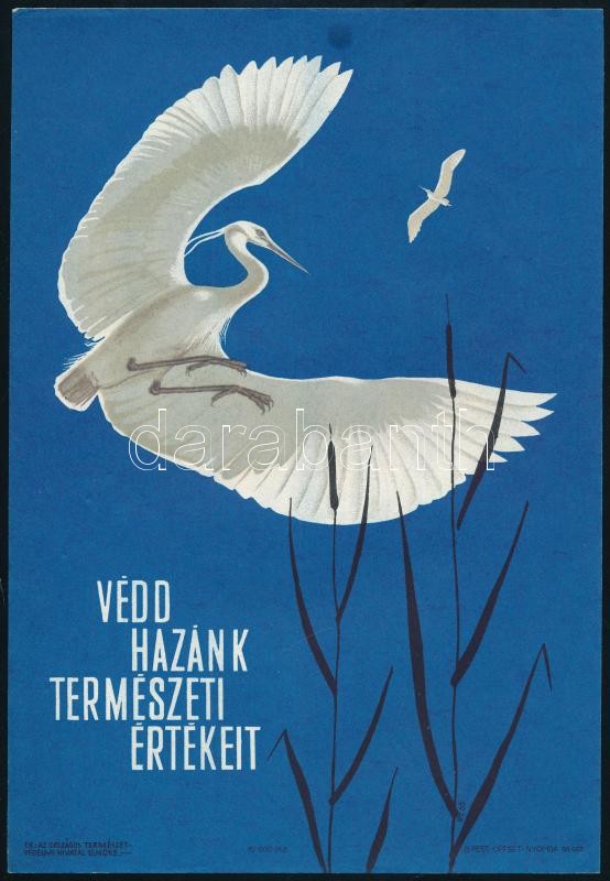 1965 'Védd hazánk természeti értékeit' villamosplakát, 24×16,5 cm