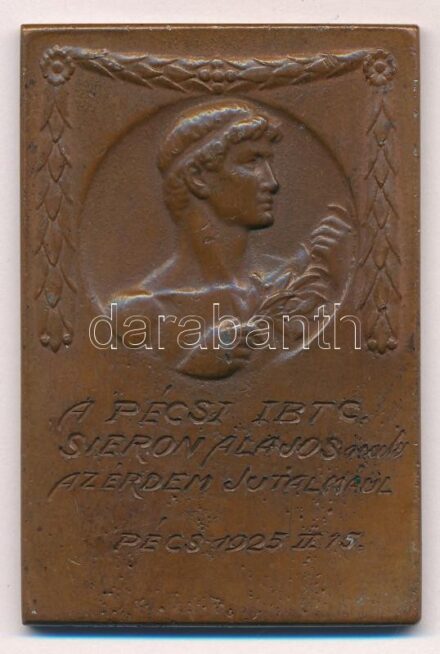1925. 'A Pécsi IBTC Sieron Alajos úrnak az érdem jutalmául - Pécs 1925 II 15.' Br érdemplakett Sieron Alajosnak, a Pécsi Iparos és Bőrgyári Torna Club (PIBTC) tornászának (40x60mm) T:2