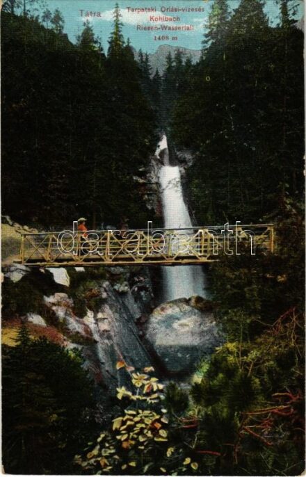 Tátra, Magas-Tátra, Vysoké Tatry; Tarpataki óriási vízesés. Feitzinger Ede No. 1085. / Kohlbach Riesen Wasserfall / waterfall (fa)