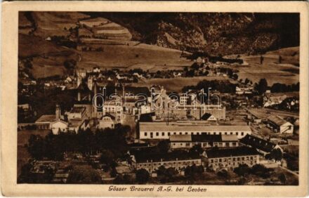 Leoben (Steiermark), Gösser Brauerei A.-G. / brewery, beer factory (EK)