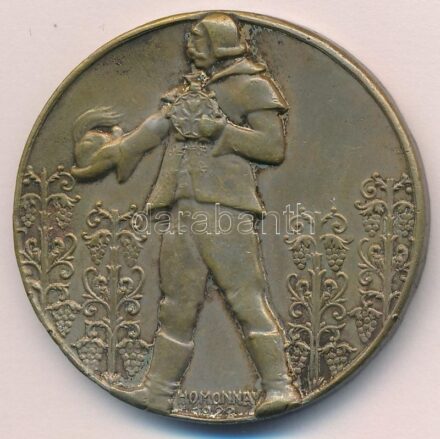 Homonnay Jenő (1883-?) 1904. 'Balatoni Szövetség 1904 - Az érdem jutalmául' ezüstözött Br emlékérem (44,5mm) T:2,2- ph. Hungary 1904. 'Balaton Association Prize Medal' silver plated Br medal. Sign.: Jenő Homonnay (44,5mm) C:XF,VF edge