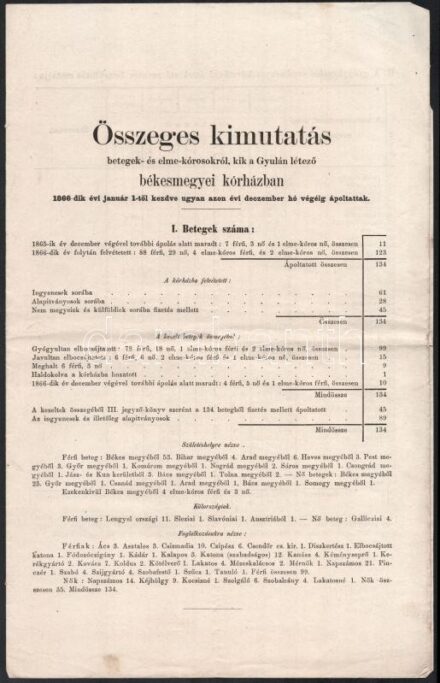 1867 Gyula Összeges kimutatás betegek- és elme.kórosokról kik a Gyulán fekvő békésmegyei kórházban 1866-ban ápoltattak 4 p.