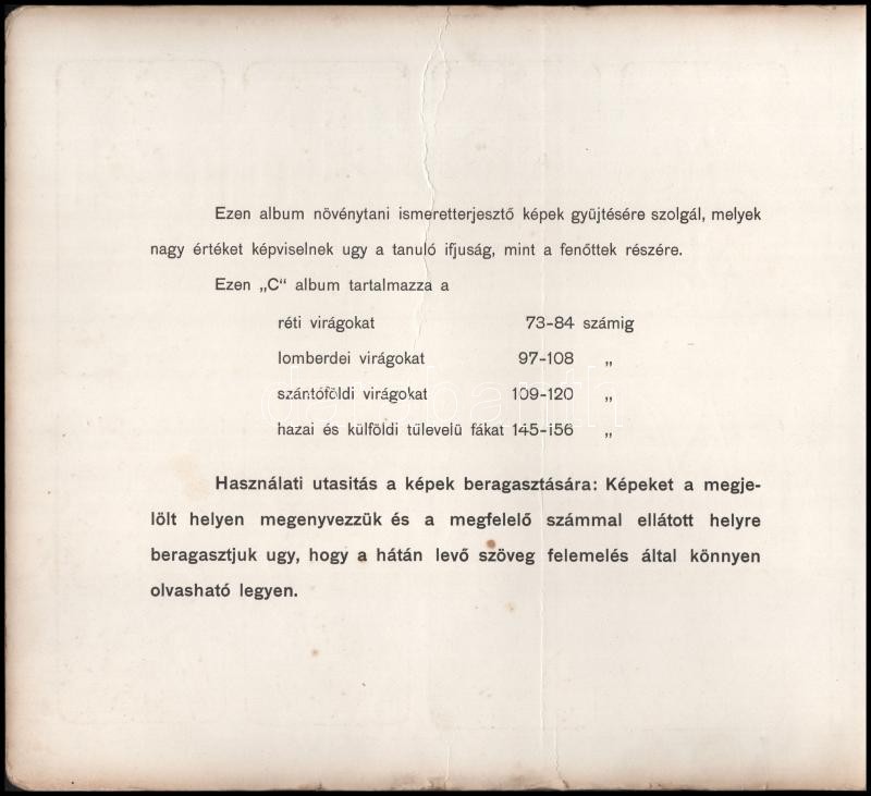 Stühmer. Növénytani képek. C album. Bp., é.n. Zahler Breuer. 6-6 levélen, 48-48 beragasztott, színes növény képpel. Teljes albumok. Fűzve, haránt alakú kiadói kartonborítókban. 28×32,3 cm. - Image 2