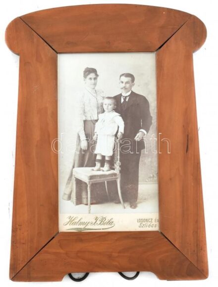 cca. 1880 Család fotója. Halmy Béla műterméből, szecessziós, kitámasztós, üvegezett, fakeretben. 20x11cm