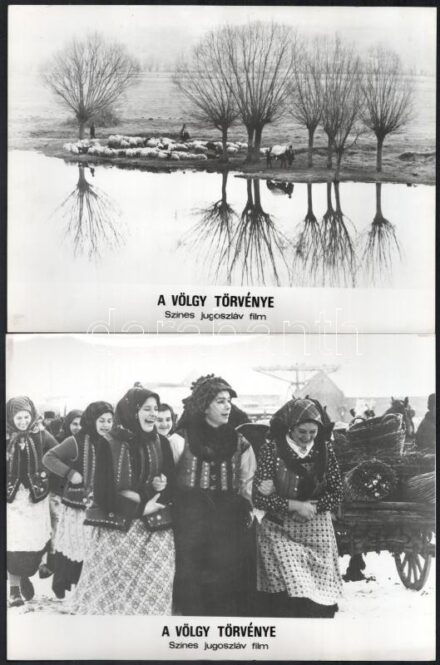 1972 ,,A völgy törvénye' című jugoszláv film szereplői és jelenetei, 13 db vintage produkciós filmfotó, 18x24 cm