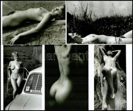 cca 1985 előtt készült felvételek, válogatás aktfotósok galériájából, 5 db mai nagyítás, 15x10 cm