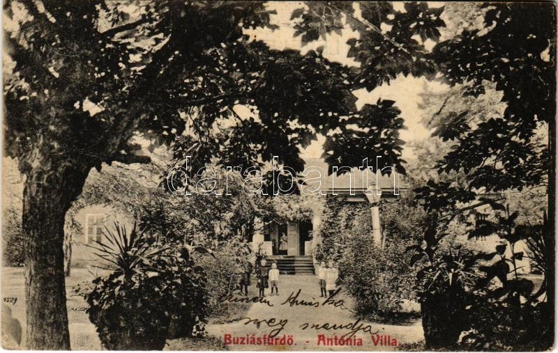 1909 Buziásfürdő, Baile Buzias; Antónia Villa / villa (EK)