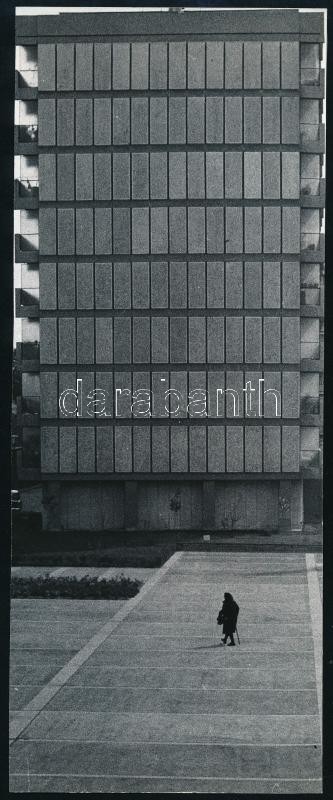 cca 1970 Flesch Bálint feliratozott, vintage fotóművészeti alkotása, 24x9,5 cm