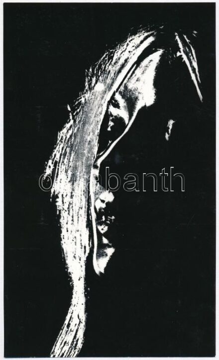 cca 1970 Horváth Péter: A romlás virágai című, feliratozott, vintage fotóművészeti alkotása, 23,7x14,3 cm