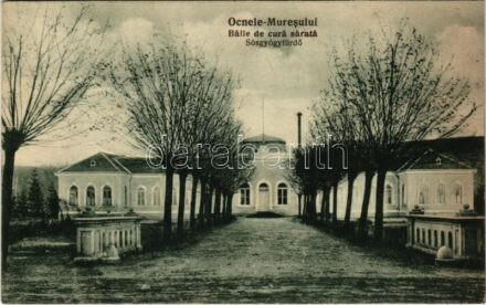 Marosújvár, Uioara, Ocna Mures; Baile de cura sarata / Sósgyógyfürdő / spa, salt bath (fl)