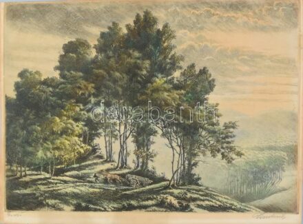 Paulovits Pál (1892-1975): Erdő. Színezett rézkarc, papír, jelzett, körbevágva, 21x36 cm