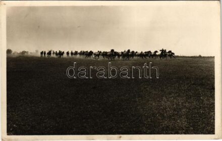 1943 Mezőhegyes, vágtató ménes (fl)