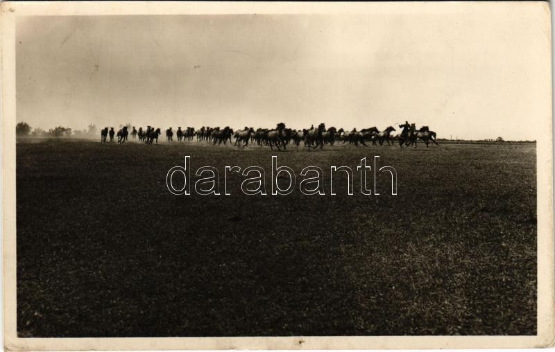 1943 Mezőhegyes, vágtató ménes (fl)