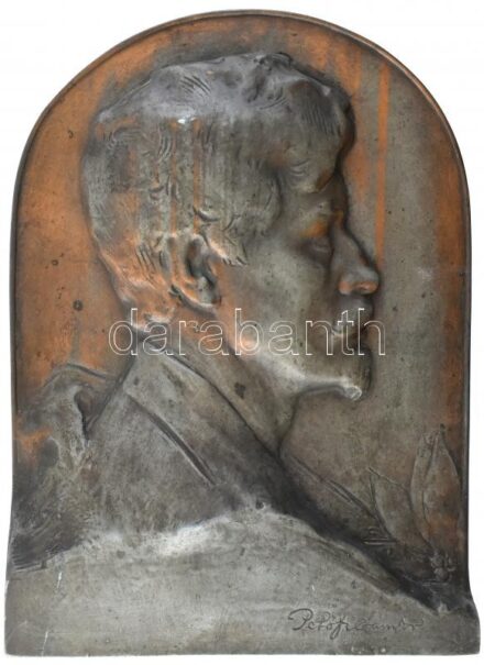 Petőfi Sándor nagy méretű fém dombormű jelzés nélkül, Petőfi aláírásával. Falra akasztható 44x33 cm