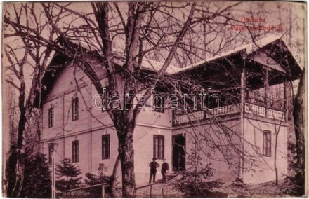 Szlatinafüred, Slatina (Aknaszlatina, Solotvyno); Pável sósfürdő. Berger Miksa kiadása / spa, villa (vágott / cut)