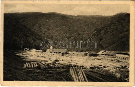 1940 Stoj, Pila v lesich pod Stojem / fűrésztelep a Stoj alatt / sawmill (kis szakadások / small tears)