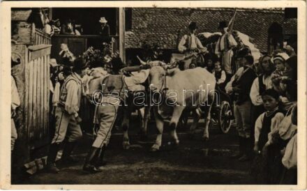 Balavásár, Balauseri; Székely esküvő ökörszekérrel, OMIH fényképtárából / wedding folklore, oxen cart