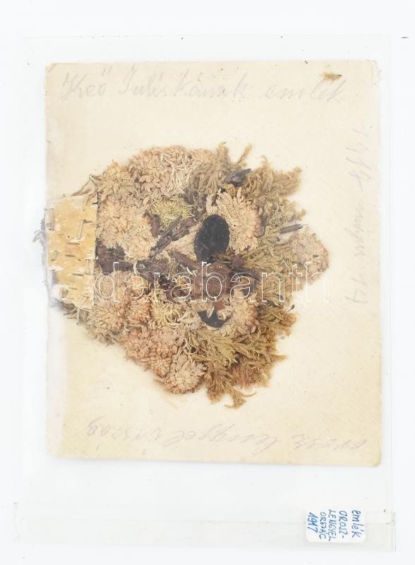 1917 Frontról küldött mini szárított virágkosár 'Keő Juliskának emlék orosz Lengyelországból'
