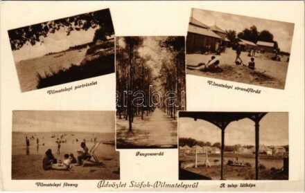 Siófok-Vilmatelep, part, strandfürdő, Fenyveserdő, föveny, telep