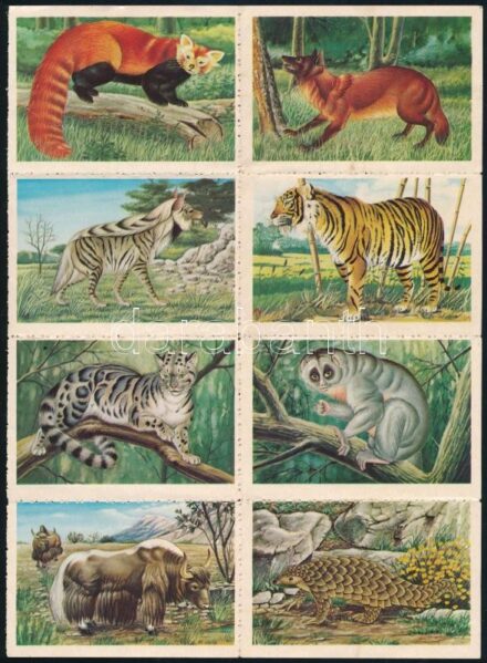 16 db állatos matrica / levélzáró, hátoldalán szöveges ismertetővel