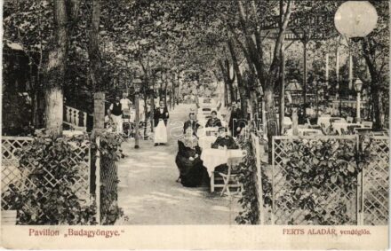 Budapest II. Pavillon Budagyöngye, Ferts Aladár vendéglős, kert (EK)