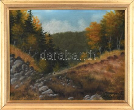 Baranyai Zs. jelzéssel: Mátraháza. Olaj, vászon, sérült keretben, 40x50cm