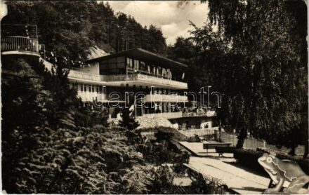 1951 Trencsénteplic, Trencianske Teplice; Lesné termálne kúpalisko 'Zelená zaba' / fürdő / spa, bath (fa)