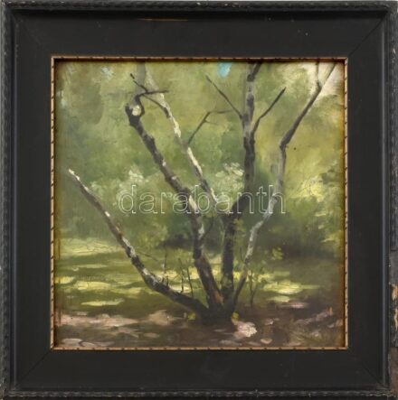 Jelzés nélkül, feltehetően XX. sz. elején működött festő alkotása: Erdei fények. Olaj, karton. Dekoratív, sérült üvegezett fa keretben. 32,5x34 cm