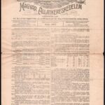 1918 Magyar Állatkereskedelem gazdasági lap XIII. évfolyam 24. szám, 4p