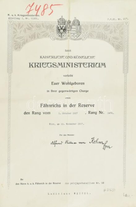 1917 Tartalékos zászlós kinevezés szárazpecséttel 42x29 cm kis beszakadással