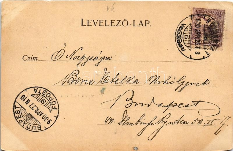 1900 Kolozsvár, Cluj; Országúti vashíd a pályaudvar felett, vasútállomás. Dunky Fivérek cs. és kir. udvari fényképészek műterméből / railway station, bridge (r) - Image 2