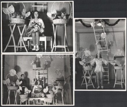 cca 1930 Margit Grossmann mit Ihre Katzen, /és macskái. Mutatványos, artista szerződése és fotók az előadásról