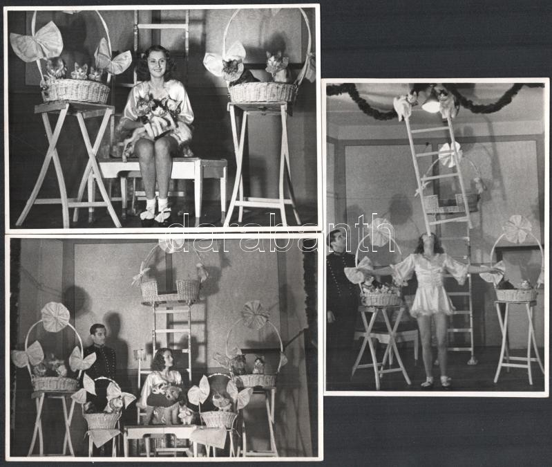 cca 1930 Margit Grossmann mit Ihre Katzen, /és macskái. Mutatványos, artista szerződése és fotók az előadásról