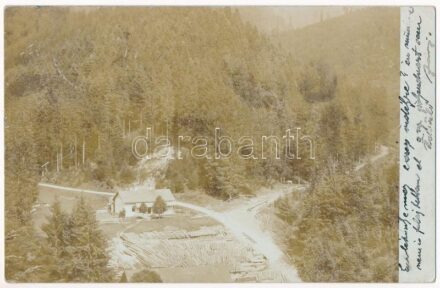 1900 Erdélyi fűrésztelep (?) / Transylvanian sawmill, lumber yard. photo (EK)