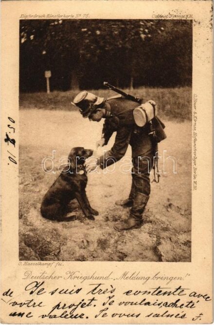 1905 Deutscher Kriegshund 'Meldung bringen!' / German military, war dog with soldier. Kupferdruck-Künstlerkarte No. 75. s: O. Hasselkampf (EK)