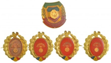 Románia 1968-1989. 'Hazafias Gárda (Gărzile Patriotice)' fegyvernemi jelvények (4x) + 'Haza védelmének előkészítésében kiemelkedő (EVIDENTIAT IN PREGATIREA PENTRU APARAREA PATRIEI)' műgyantás jelvény T:2,2- sérülések Romania