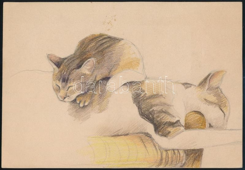 Biczó Judit (1915-1987)?: Ex libris Biczó Judit. Ceruza, papír. Jelzés nélkül 15x11 cm - Image 2