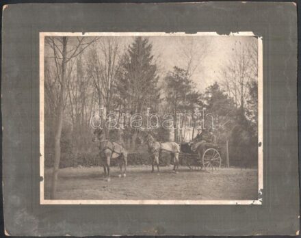 cca 1910-1920 Szatmár, uradalmi kocsi, kartonra kasírozott fotó, foltos karton, 20×26 cm