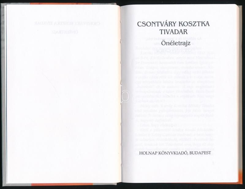Csontváry Kosztka Tivadar: Önéletrajz. Az előszót, a jegyzeteket írta és a kötetet szerk: Szigethy Gábor. Bp.,1999,Holnap. Második, javított kiadás. Kiadói kartonálásban. - Image 2