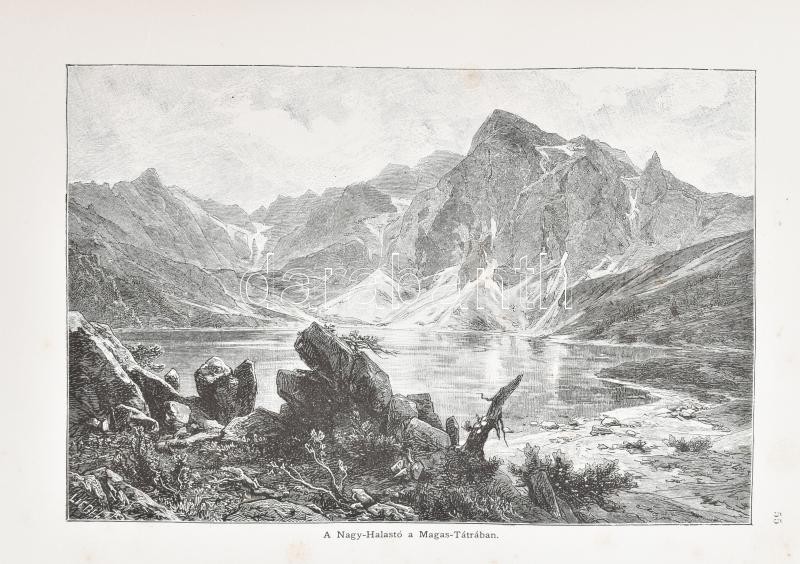 Az Osztrák-Magyar Monarchia írásban és képben. Bevezető kötet. Bp., 1887, Magyar Királyi Államnyomda. Nagyon gazdag egészoldalas, és szövegközti képanyaggal illusztrált. Kiadói dúsan aranyozott, festett egészvászon-kötés, - Image 4