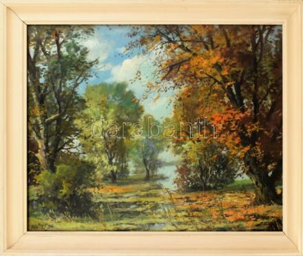 Olvashatatlan (Kokas?) jelzéssel: Vízparti táj. Olaj, vászon. Üvegezett, kissé sérült fa keretben, 58×74,5 cm