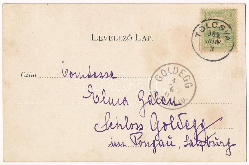 1904 Tokaj, Tokaj-Hegyaljai Kincsem-szőlő, vasútvonal, gőzmozdony. Szabó fivérek fényképészeti és sokszorosító műterem. Art Nouveau (EK) - Image 2