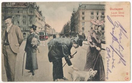 1909 Budapest XIII. Lipót körút, villamos, Schneider Lipót üzlete. Montázs kutyás hölggyel és urakkal (r)
