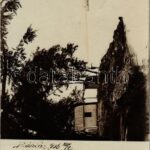 1906 Báziás. photo (fl)