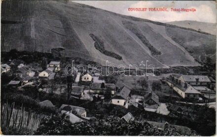 Tokaj, Tokaj-Hegyalja, szőlő. Klein Márkus kiadása (Rb)