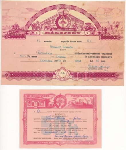 1951. SZÖVOSZ 50 Ft takarékszövetkezeti részjegy befizetéséről szóló igazolás + 1956. 'SZÖVOSZ - Földművesszövetkezeti Részjegy', névre szóló T:III foltok