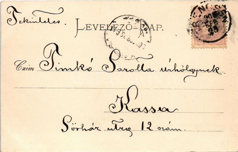 1900 Trencsénteplic, Trencianske Teplice; látkép. Gansel Lipót kiadása / general view - Image 2